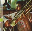 Raga Marwa - Surbahar