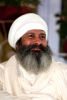 Portrait Sant Baljit Singh no. 28